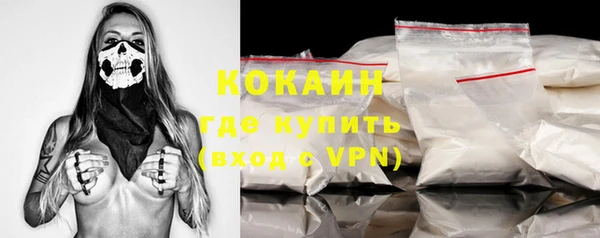 apvp Богородицк