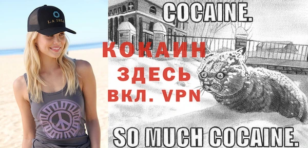 apvp Богородицк