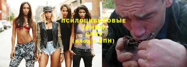 apvp Богородицк