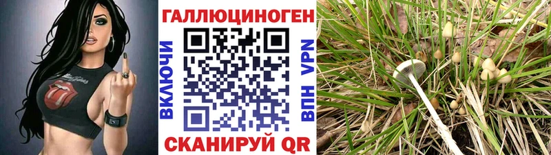 где найти   Минеральные Воды  Псилоцибиновые грибы мухоморы 