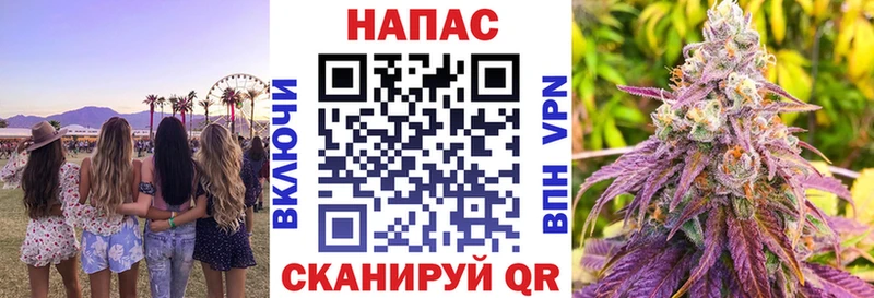 Каннабис конопля  Минеральные Воды 